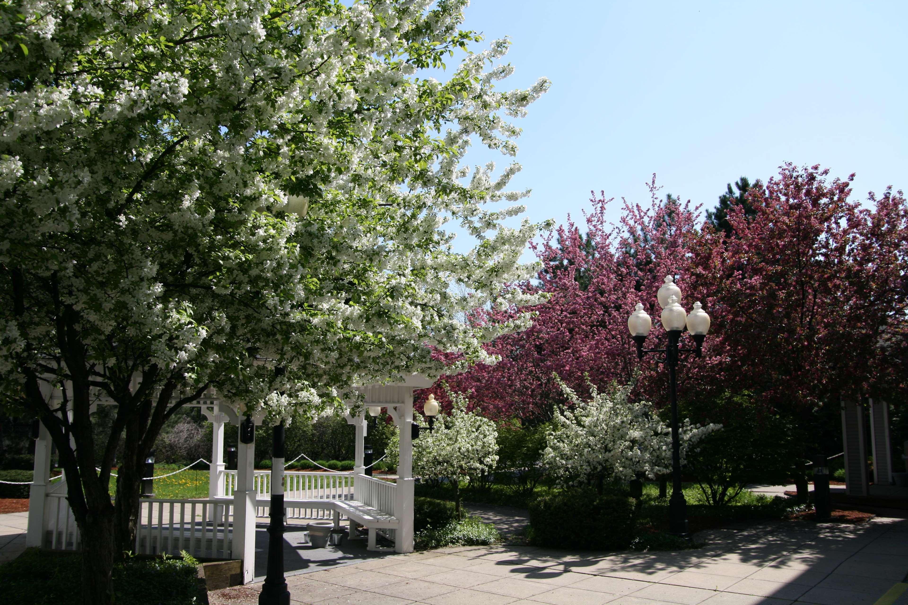Hampton - Colchester Burlington